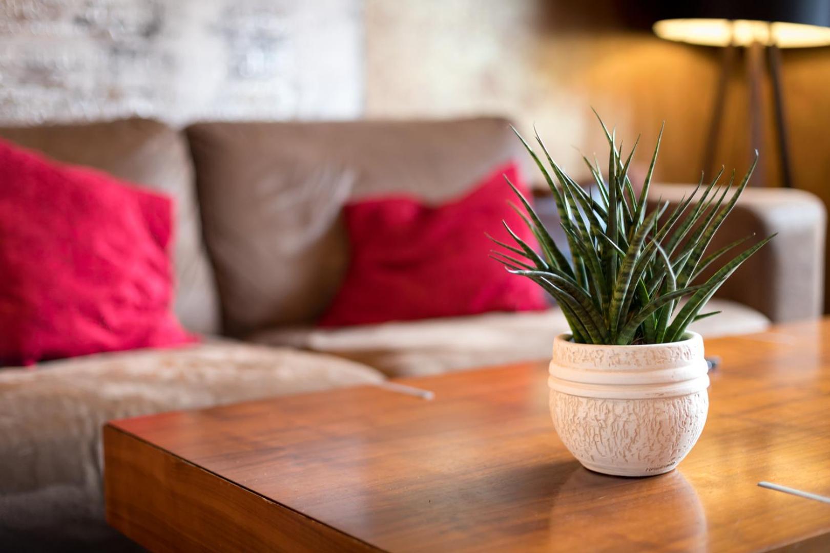 Special Retreat Apartment & Home-Office & Workplace Bazylea Zewnętrze zdjęcie